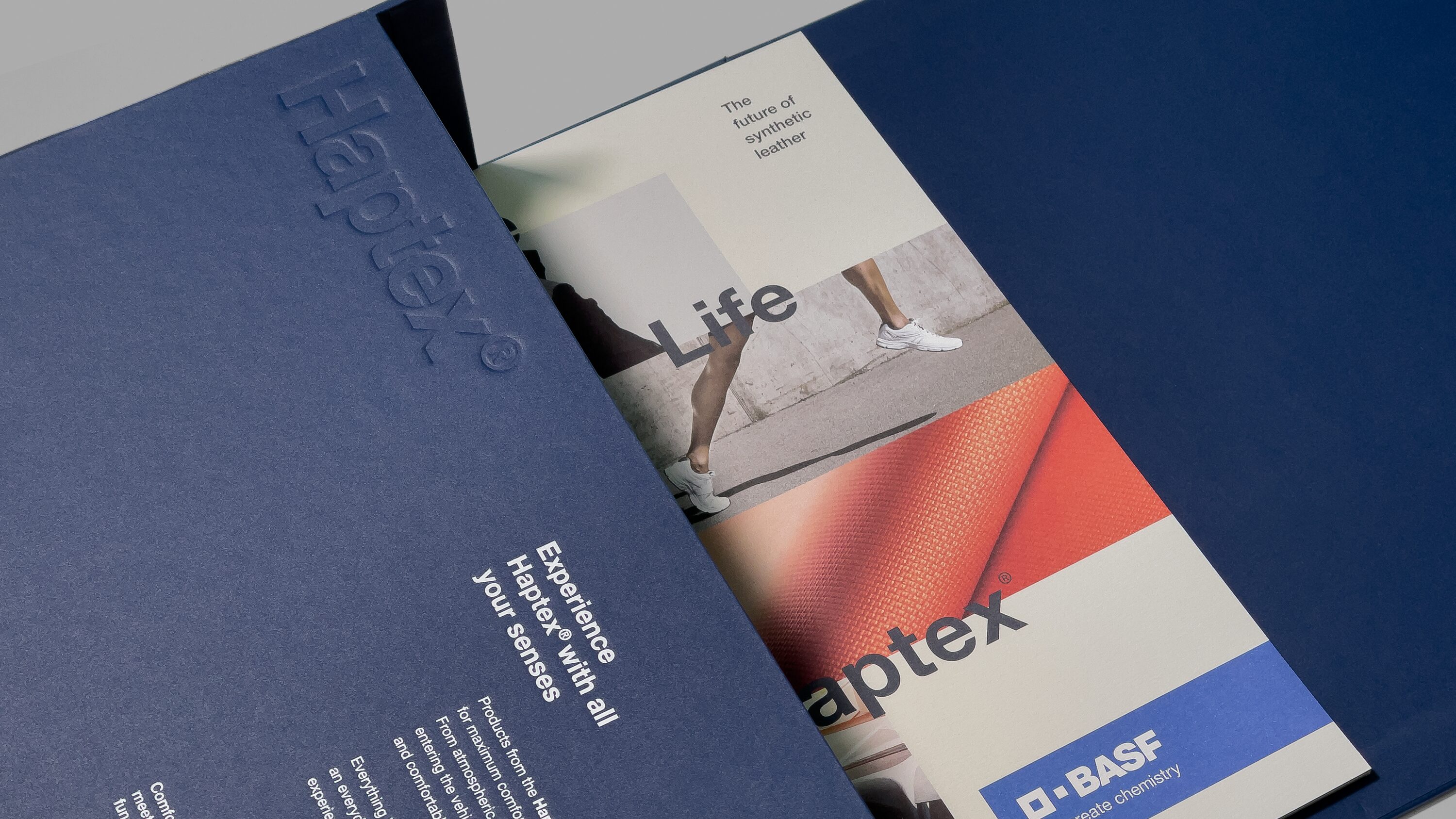 BASF Haptex