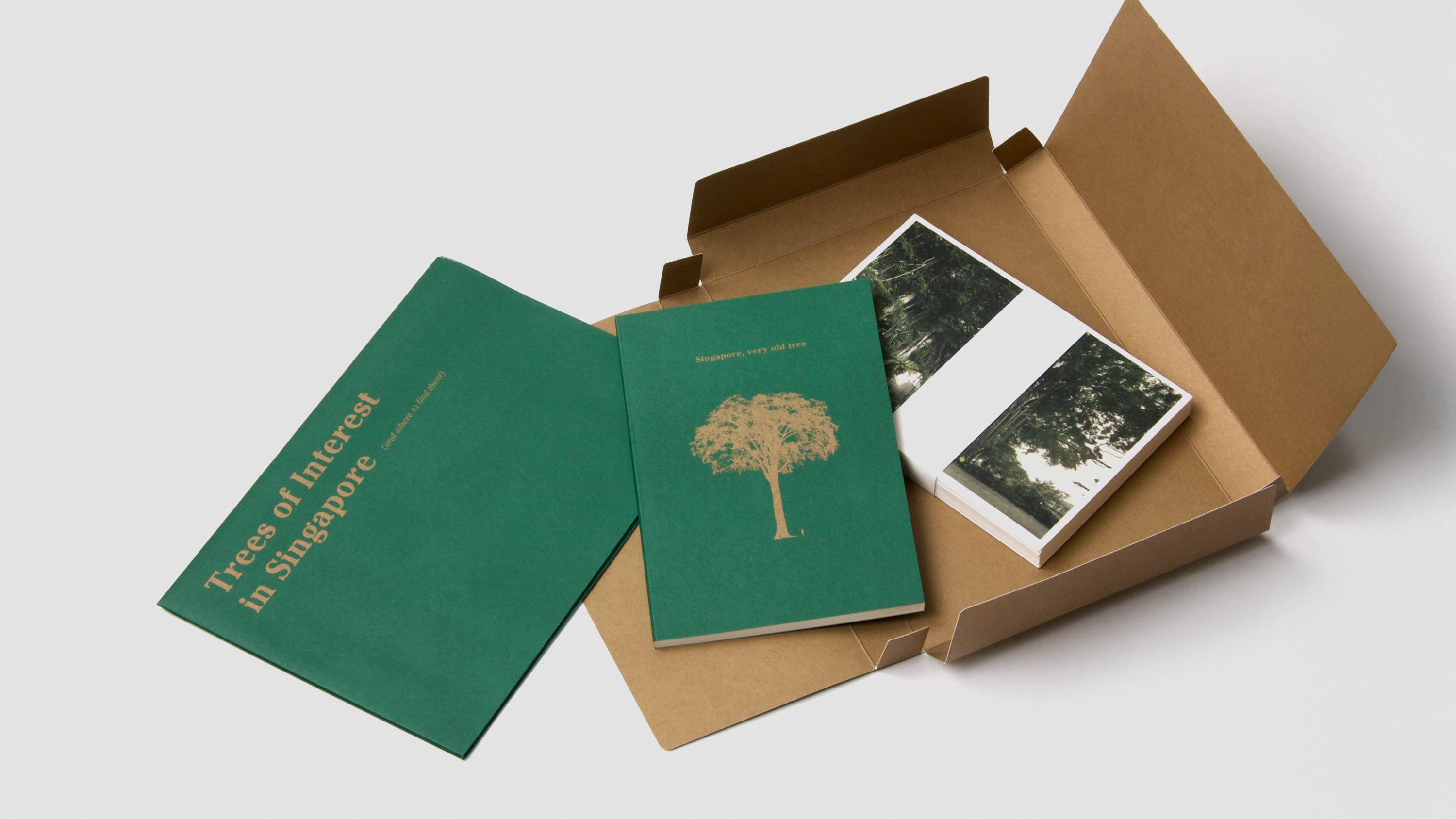 Singapore, very old tree