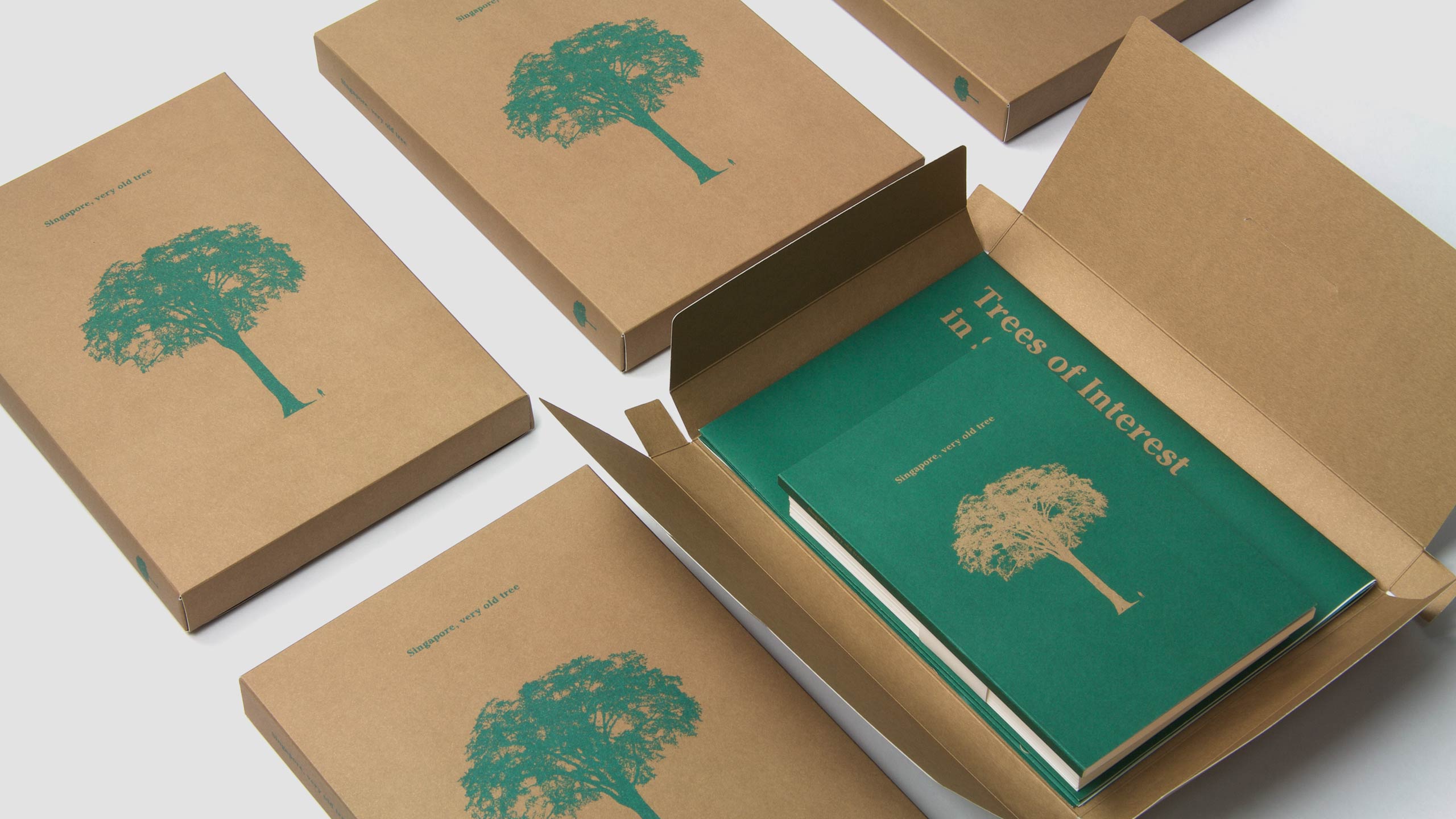 Singapore, very old tree